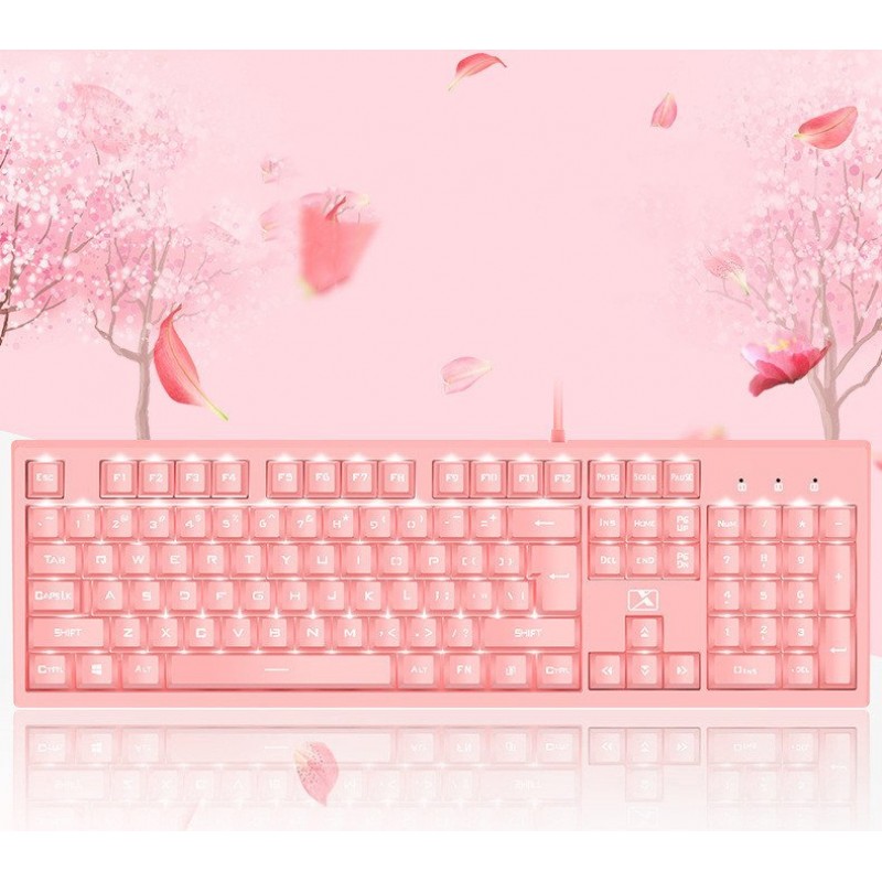 Notebook desktop computer universal color keyboard