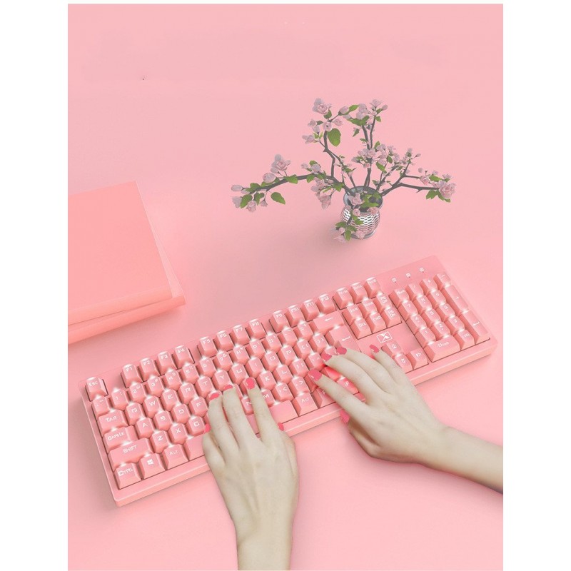 Notebook desktop computer universal color keyboard